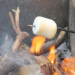 toasted marshmallow